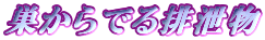 ������ł�r����