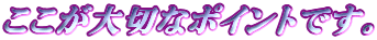 ��������؂ȃ|�C���g�ł��B