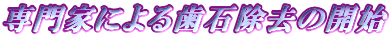 ���Ƃɂ�鎕�Ώ����̊J�n