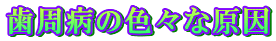 �����a�̐F�X�Ȍ���