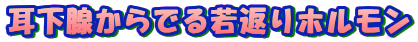 �����B����ł��Ԃ�z������

