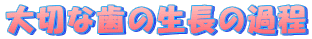 ��؂Ȏ��̐����̉ߒ�
