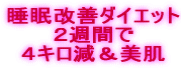 �������P�_�C�G�b�g�Q�T�ԂłS�L����������