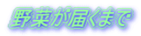 ��؂��͂��܂�