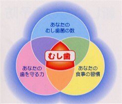 zuhyou