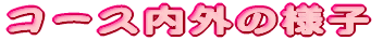 �R�[�X���O�̗l�q 
