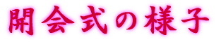 �J��̗l�q 