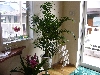 P1020036.JPG