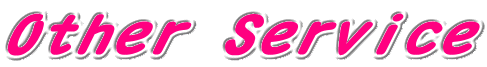 Other Service